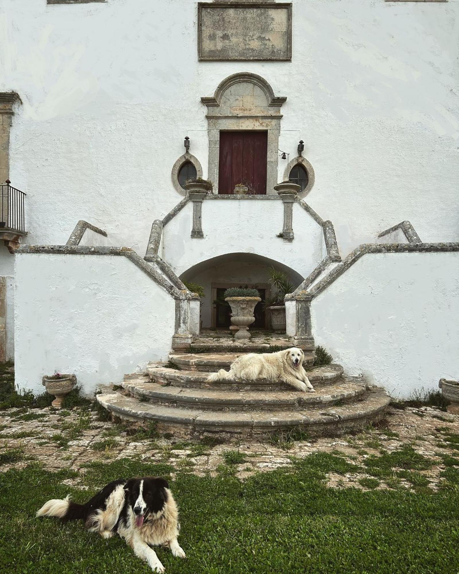 Masseria Murgia Albanese Noci Exterior photo