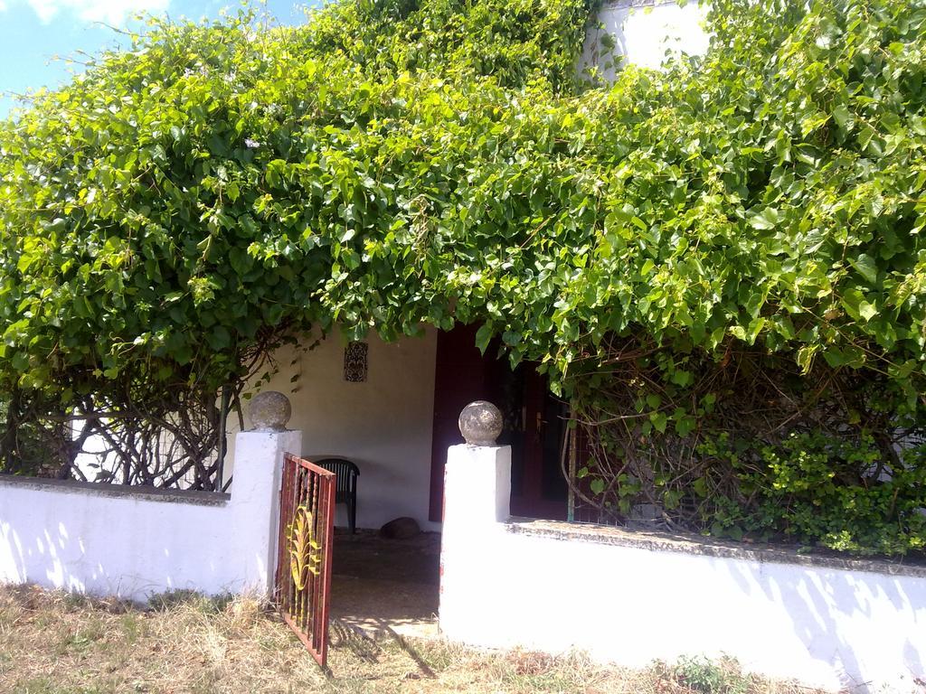 Masseria Murgia Albanese Noci Exterior photo