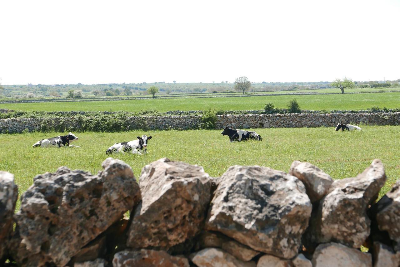 Masseria Murgia Albanese Noci Exterior photo
