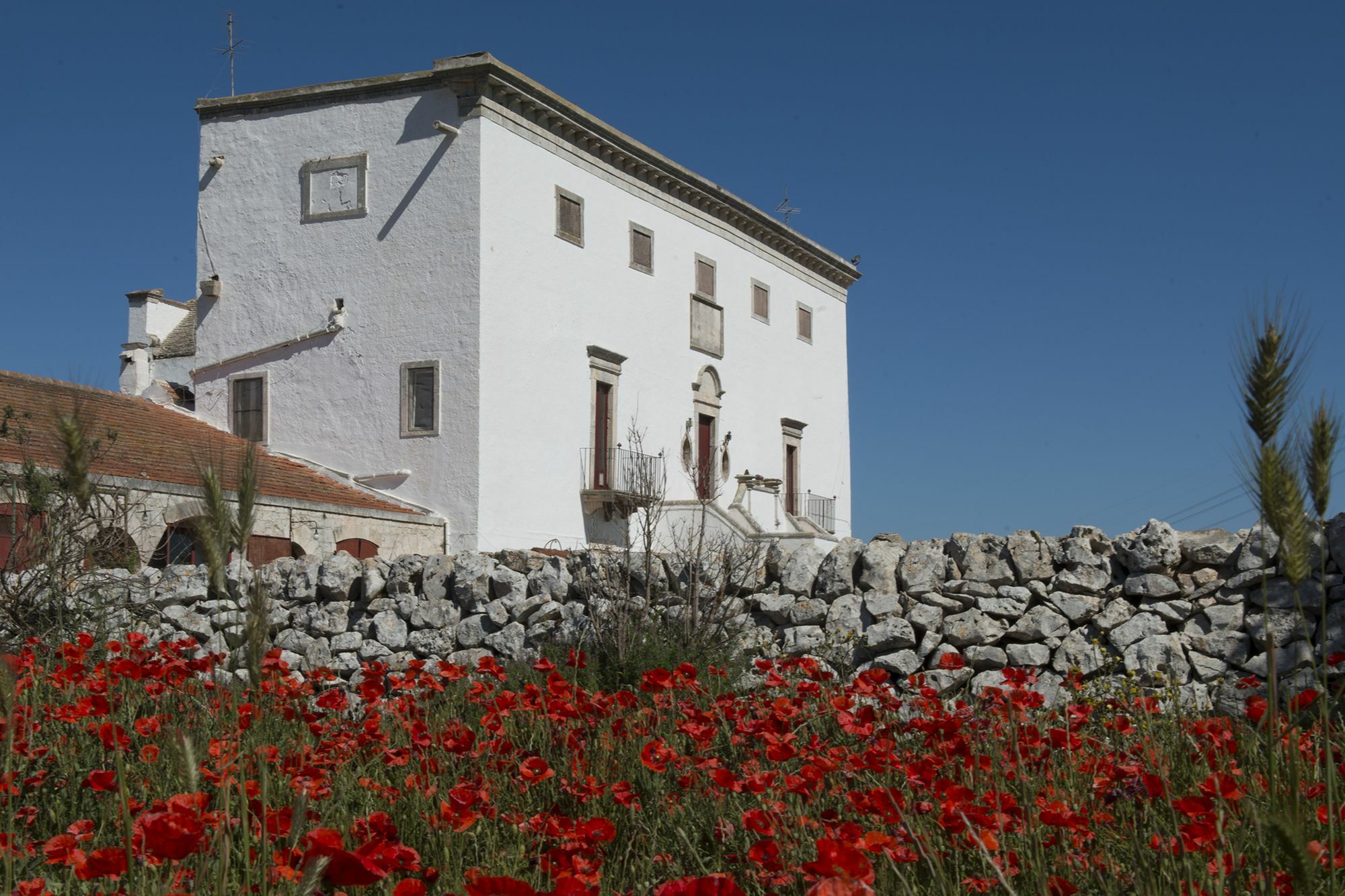 Masseria Murgia Albanese Noci Exterior photo